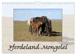 Pferdeland Mongolei (Wandkalender 2024 DIN A4 quer), CALVENDO Monatskalender