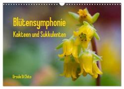 Blütensymphonie - Kakteen und Sukkulenten (Wandkalender 2024 DIN A3 quer), CALVENDO Monatskalender