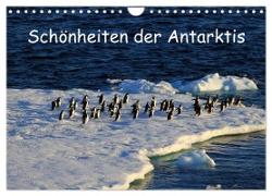 Schönheiten der Antarktis (Wandkalender 2024 DIN A4 quer), CALVENDO Monatskalender