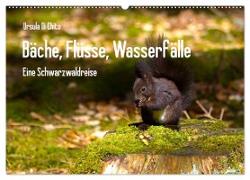 Bäche, Flüsse, Wasserfälle - Eine Schwarzwaldreise (Wandkalender 2024 DIN A2 quer), CALVENDO Monatskalender