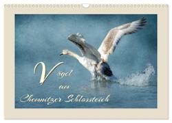 Vögel am Chemnitzer Schlossteich (Wandkalender 2024 DIN A3 quer), CALVENDO Monatskalender
