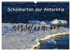 Schönheiten der Antarktis (Wandkalender 2024 DIN A3 quer), CALVENDO Monatskalender