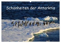 Schönheiten der Antarktis (Wandkalender 2024 DIN A2 quer), CALVENDO Monatskalender