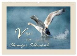 Vögel am Chemnitzer Schlossteich (Wandkalender 2024 DIN A2 quer), CALVENDO Monatskalender