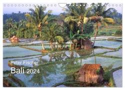 Peter Fischer - Bali 2024 (Wandkalender 2024 DIN A4 quer), CALVENDO Monatskalender