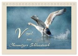 Vögel am Chemnitzer Schlossteich (Tischkalender 2024 DIN A5 quer), CALVENDO Monatskalender