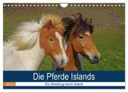 Die Pferde Islands - Ein Streifzug durch Island (Wandkalender 2024 DIN A4 quer), CALVENDO Monatskalender