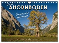 Großer Ahornboden - Europas großer Ahornwald (Wandkalender 2024 DIN A4 quer), CALVENDO Monatskalender