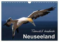 Neuseeland - Tierwelt hautnah (Wandkalender 2024 DIN A4 quer), CALVENDO Monatskalender