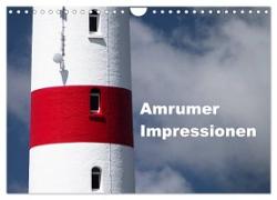 Amrumer Impressionen (Wandkalender 2024 DIN A4 quer), CALVENDO Monatskalender