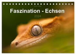 Faszination - Echsen (Tischkalender 2024 DIN A5 quer), CALVENDO Monatskalender
