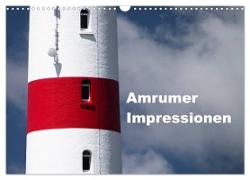 Amrumer Impressionen (Wandkalender 2024 DIN A3 quer), CALVENDO Monatskalender