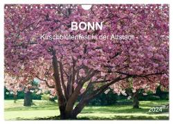 Bonn - Kirschblütenfest in der Altstadt (Wandkalender 2024 DIN A4 quer), CALVENDO Monatskalender