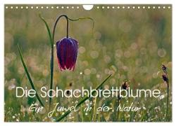 Die Schachbrettblume (Wandkalender 2024 DIN A4 quer), CALVENDO Monatskalender