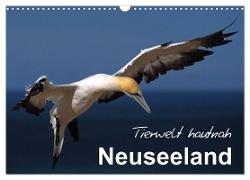 Neuseeland - Tierwelt hautnah (Wandkalender 2024 DIN A3 quer), CALVENDO Monatskalender
