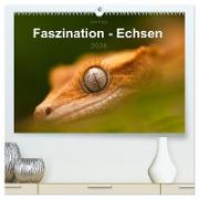 Faszination - Echsen (hochwertiger Premium Wandkalender 2024 DIN A2 quer), Kunstdruck in Hochglanz