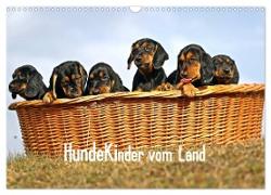 Hundekinder vom Land (Wandkalender 2024 DIN A3 quer), CALVENDO Monatskalender