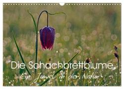 Die Schachbrettblume (Wandkalender 2024 DIN A3 quer), CALVENDO Monatskalender