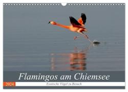 Flamingos am Chiemsee (Wandkalender 2024 DIN A3 quer), CALVENDO Monatskalender