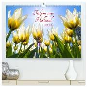 Tulpen aus Holland (hochwertiger Premium Wandkalender 2024 DIN A2 quer), Kunstdruck in Hochglanz