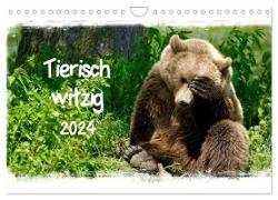 Tierisch witzig (Wandkalender 2024 DIN A4 quer), CALVENDO Monatskalender