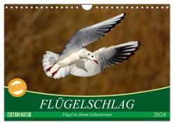 Flügelschlag - Vögel in ihrem natürlichen Lebensraum (Wandkalender 2024 DIN A4 quer), CALVENDO Monatskalender