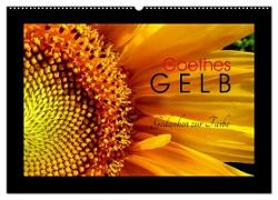 Goethes Gelb Gedanken zur Farbe (Wandkalender 2024 DIN A2 quer), CALVENDO Monatskalender