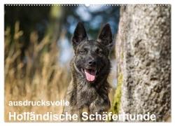 ausdrucksvolle Holländische Schäferhunde (Wandkalender 2024 DIN A2 quer), CALVENDO Monatskalender