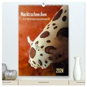 Nacktschnecken - Unterwasserwelt 2024 (hochwertiger Premium Wandkalender 2024 DIN A2 hoch), Kunstdruck in Hochglanz