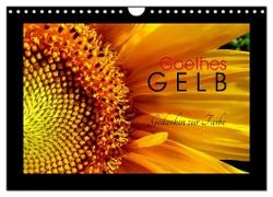 Goethes Gelb Gedanken zur Farbe (Wandkalender 2024 DIN A4 quer), CALVENDO Monatskalender