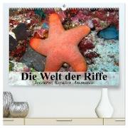 Die Welt der Riffe. Seesterne, Korallen, Anemonen (hochwertiger Premium Wandkalender 2024 DIN A2 quer), Kunstdruck in Hochglanz