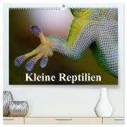 Kleine Reptilien (hochwertiger Premium Wandkalender 2024 DIN A2 quer), Kunstdruck in Hochglanz
