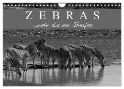 Zebras - Mehr als nur Streifen (Wandkalender 2024 DIN A4 quer), CALVENDO Monatskalender