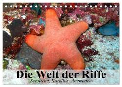 Die Welt der Riffe. Seesterne, Korallen, Anemonen (Tischkalender 2024 DIN A5 quer), CALVENDO Monatskalender