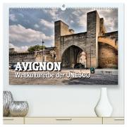 Avignon - Weltkulturerbe der UNESCO (hochwertiger Premium Wandkalender 2024 DIN A2 quer), Kunstdruck in Hochglanz