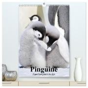 Pinguine. Familienglück im Eis (hochwertiger Premium Wandkalender 2024 DIN A2 hoch), Kunstdruck in Hochglanz