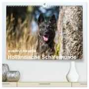 ausdrucksvolle Holländische Schäferhunde (hochwertiger Premium Wandkalender 2024 DIN A2 quer), Kunstdruck in Hochglanz