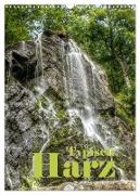 Typisch Harz (Wandkalender 2024 DIN A3 hoch), CALVENDO Monatskalender
