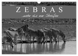 Zebras - Mehr als nur Streifen (Wandkalender 2024 DIN A3 quer), CALVENDO Monatskalender