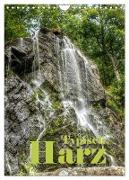 Typisch Harz (Wandkalender 2024 DIN A4 hoch), CALVENDO Monatskalender