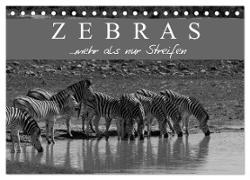 Zebras - Mehr als nur Streifen (Tischkalender 2024 DIN A5 quer), CALVENDO Monatskalender
