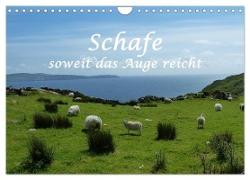 Schafe - soweit das Auge reicht (Wandkalender 2024 DIN A4 quer), CALVENDO Monatskalender