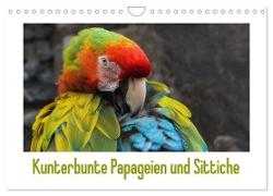 Kunterbunte Papageien und Sittiche (Wandkalender 2024 DIN A4 quer), CALVENDO Monatskalender