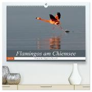 Flamingos am Chiemsee (hochwertiger Premium Wandkalender 2024 DIN A2 quer), Kunstdruck in Hochglanz