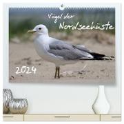 Vögel der Nordseeküste (hochwertiger Premium Wandkalender 2024 DIN A2 quer), Kunstdruck in Hochglanz
