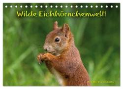 Wilde Eichhörnchenwelt! (Tischkalender 2024 DIN A5 quer), CALVENDO Monatskalender