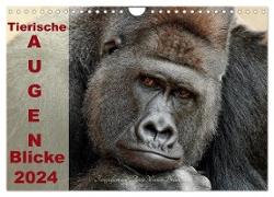 Tierische Augen-Blicke 2024 (Wandkalender 2024 DIN A4 quer), CALVENDO Monatskalender