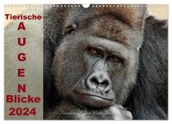 Tierische Augen-Blicke 2024 (Wandkalender 2024 DIN A3 quer), CALVENDO Monatskalender