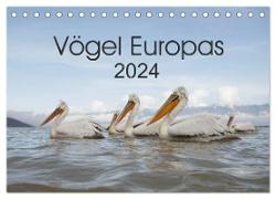 Vögel Europas 2024 (Tischkalender 2024 DIN A5 quer), CALVENDO Monatskalender