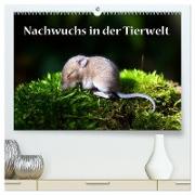 Nachwuchs in der Tierwelt (hochwertiger Premium Wandkalender 2024 DIN A2 quer), Kunstdruck in Hochglanz